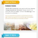 10 Day Pouch Reset Diet Fatburning Pouch Reset