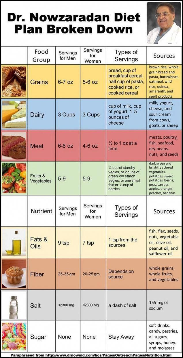 Dr Now High Protein Low Carb Diet Plan