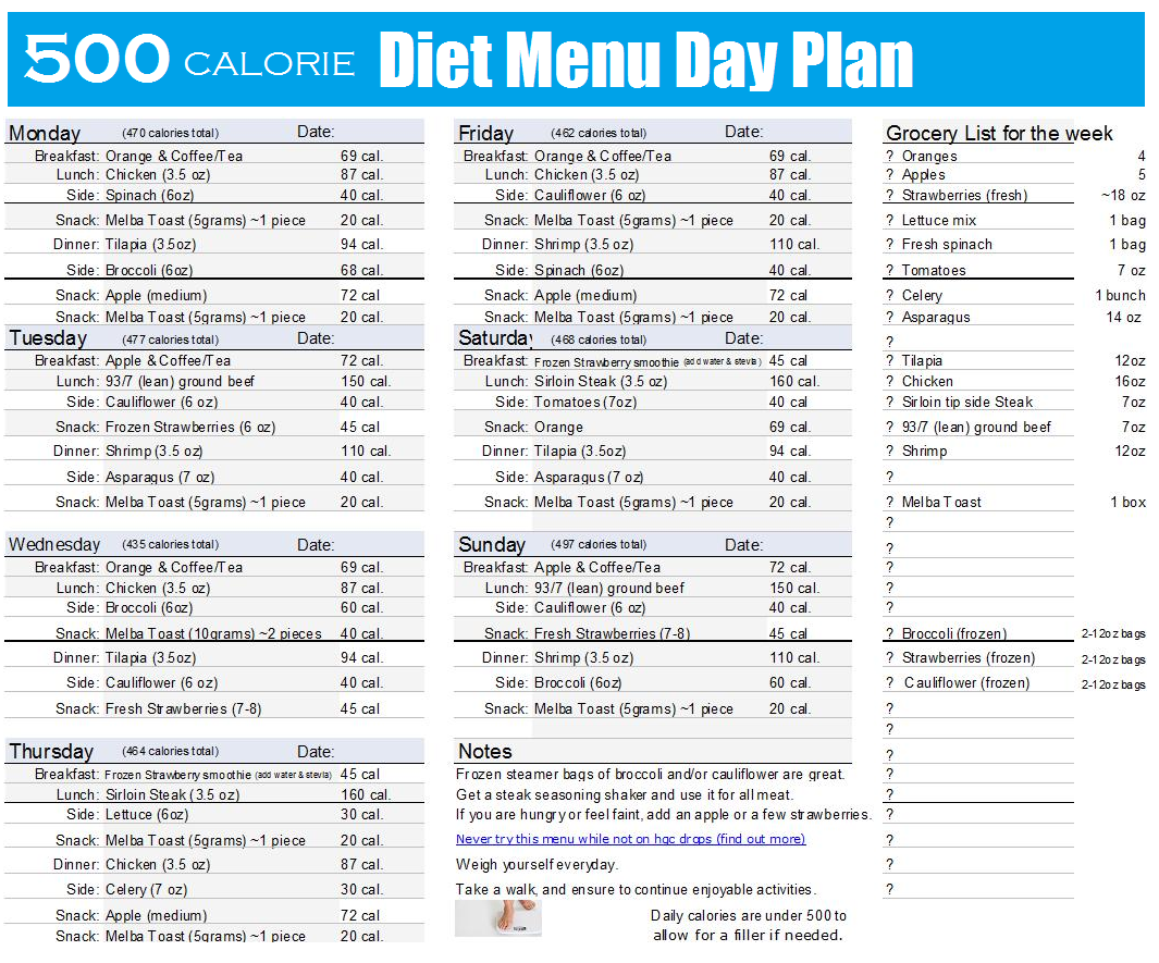 500 Calorie Diet Menu Plan 1000 Calorie Diets 1200 