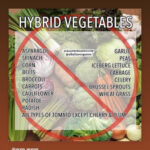 A List Of Vegetables To Stay Away From If You Re On The