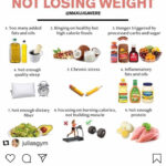 Basics Of Keto Diet Meal Plan SimpleDietMealPlan