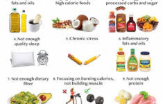 Basics Of Keto Diet Meal Plan SimpleDietMealPlan