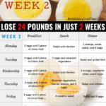 Boiled Egg Diet To Lose 24 Pounds In 2 Weeks WEEK 2