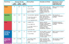 Dash Diet Food List Examples And Forms