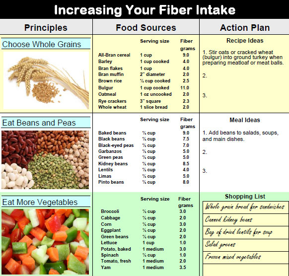 Diet Plan High In Fiber And Protein Diet Plan