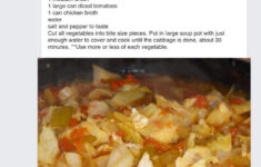 Dolly Pardon Diet Auahadesigns