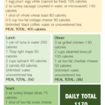 Dr Now Diet Guide Resources 1200 Calorie Diet Plan