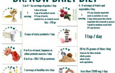Dr Now Diet Nowzaradan Plan Daily Dr Nowzaradan