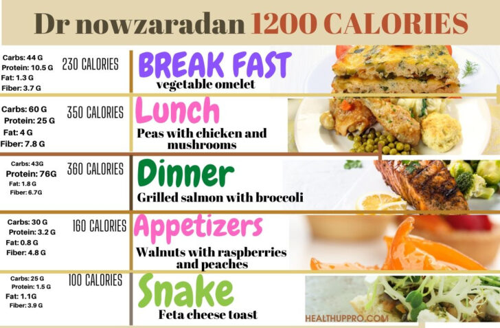 Beginner Printable Dr Nowzaradan Diet Plan 1200 Calories Pdf