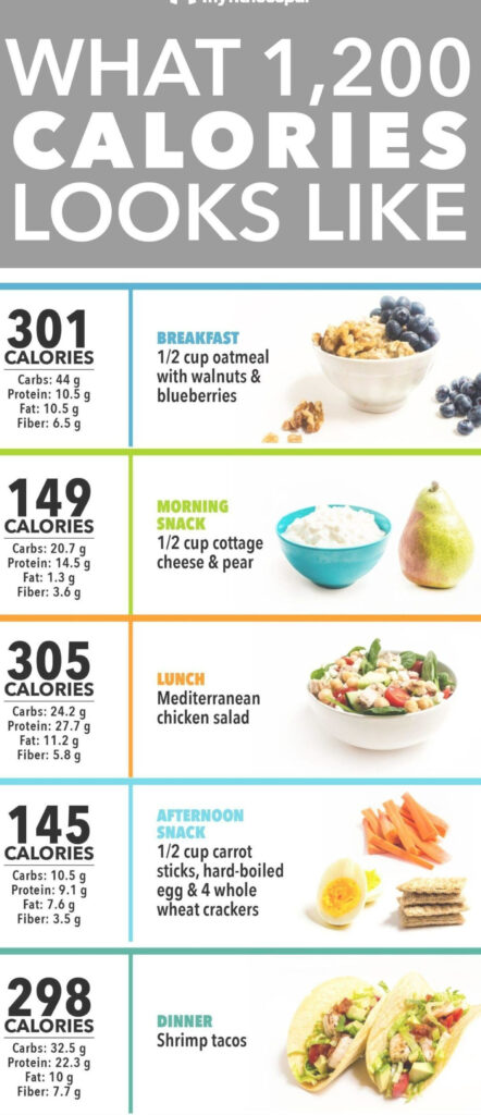 Dr Nowzaradan Diet Plan The Complete Guide 1200 | Printable Diet Plan