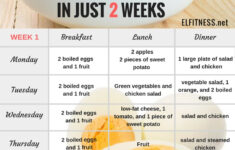 Egg Diet 2 Week Diet Plan
