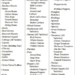 Fast Metabolism Diet Phase 1 List Of Allowed Foods Fast