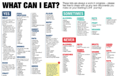 Free Printable Atkins Diet Plan Free Printable
