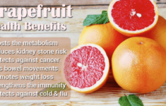 Grapefruit Diet For Weight Loss