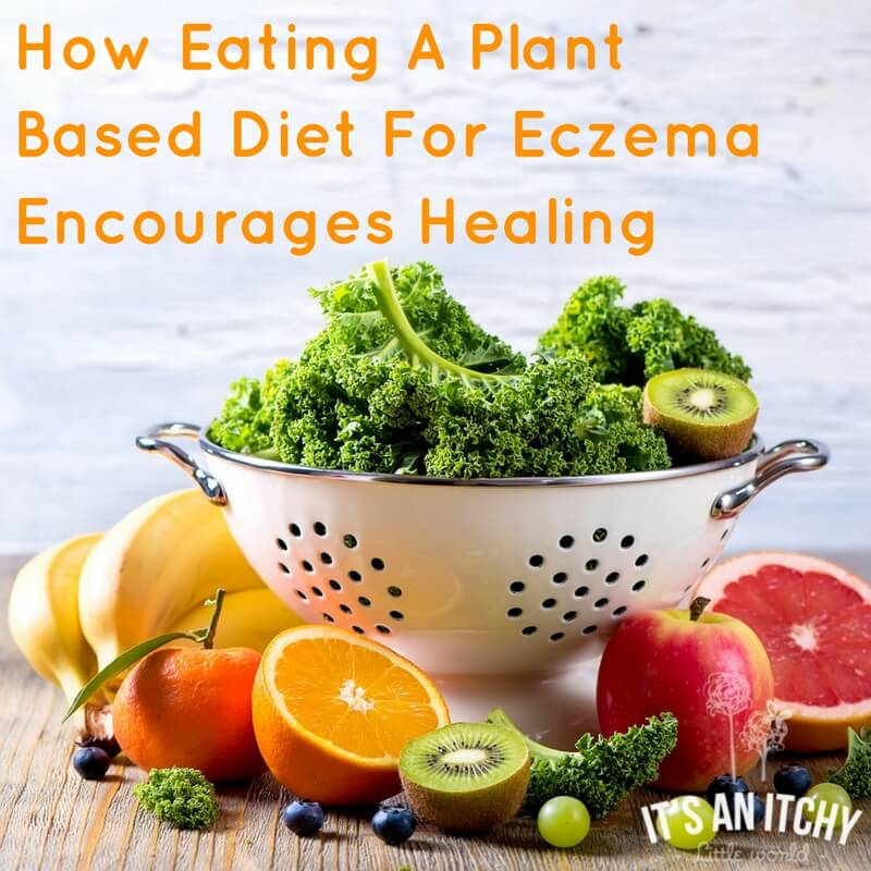 How Eating A Plant Based Diet For Eczema Encourages 