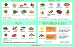 Is It Safe To Be A Vegetarian While Pregnant IAMMRFOSTER COM