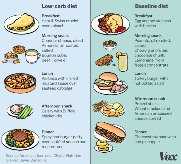 Low Carb Low Fat Low Cholesterol Diet Plan