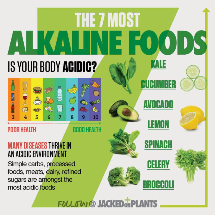 Plant Based Alkaline Diet