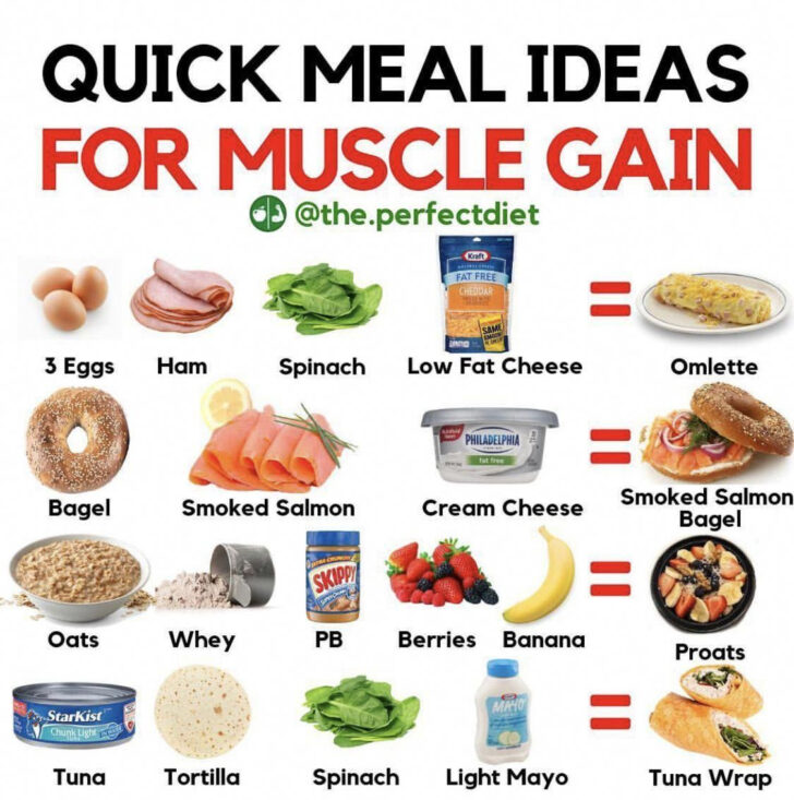 Protein Diet Plan For Muscle Gain