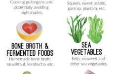 Pin On THYROID HORMONE ADRENAL ENDOCRINE LYMPH