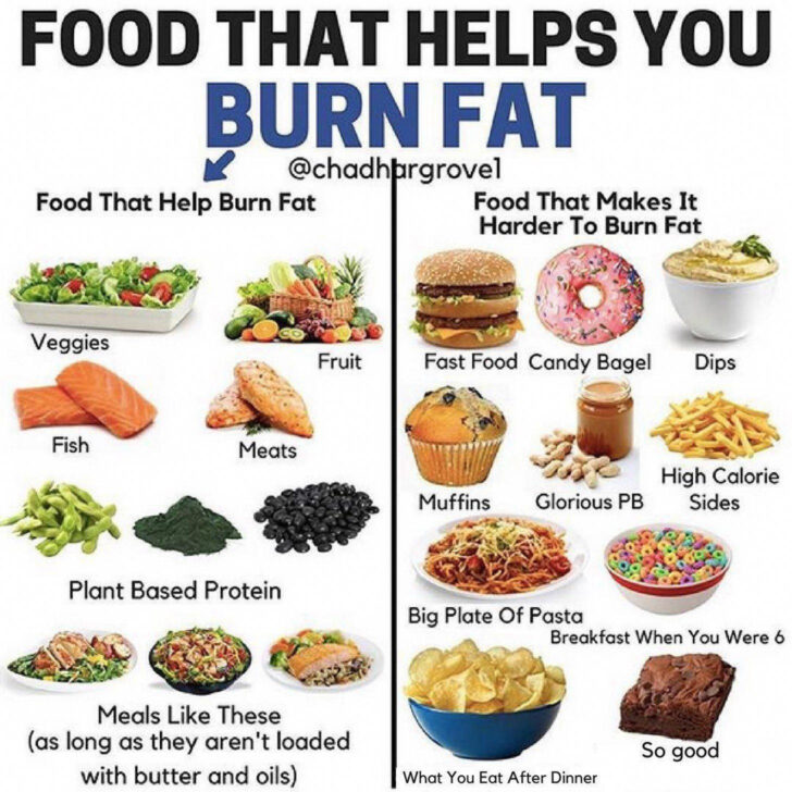 Fat Loss Diet