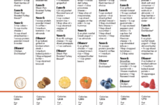 Printable High Protein Diet Plan PrintableDietPlan