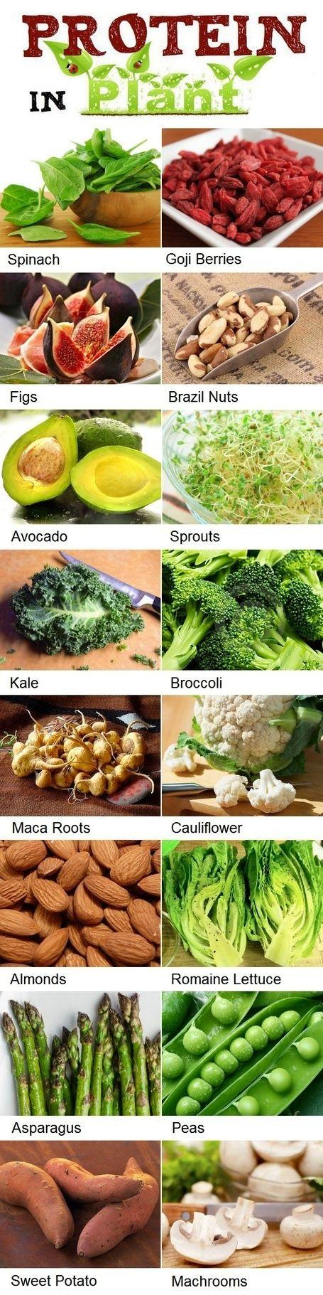 High Protein Low Calorie Foods List