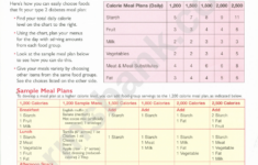 The Type 2 Diabetes Meal Planner Printable Pdf Download