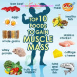 Top 10 Foods To Gain Muscle Mass Www Bodybuilding110