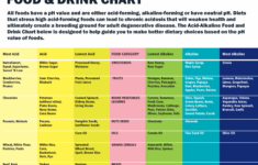 What Are Alkaline Supplements