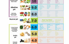 Why Is Eating An Alkaline Diet Important For Your Health