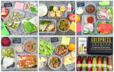 Yummy Diet Low Carb High Protein Program GoldPress