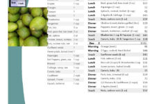 Printable 2 Day 1400 Calories A Day Paleo Diet Menu Plan